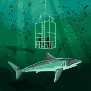 Meet your Posher, Nathaniel